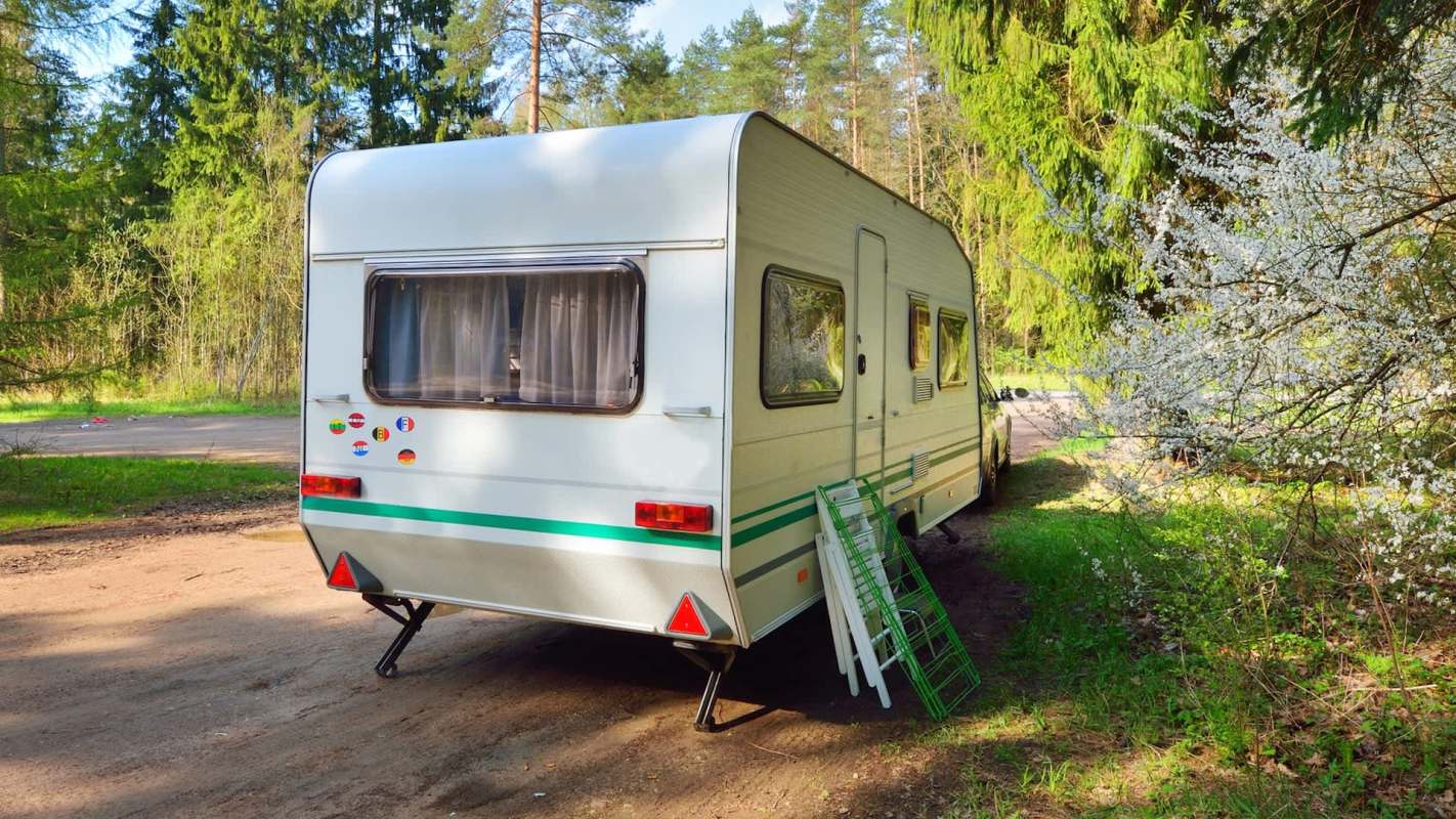 A caravan parked in a wooded area with a flowered bush nearby.