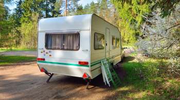 A caravan parked in a wooded area with a flowered bush nearby.
