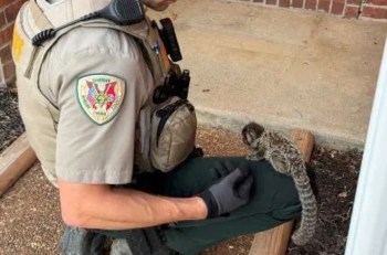 A law enforcement officer kneels next to a small monkey.