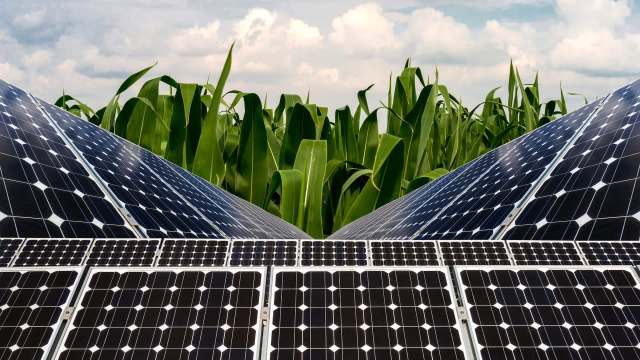 Solar panels and crops.