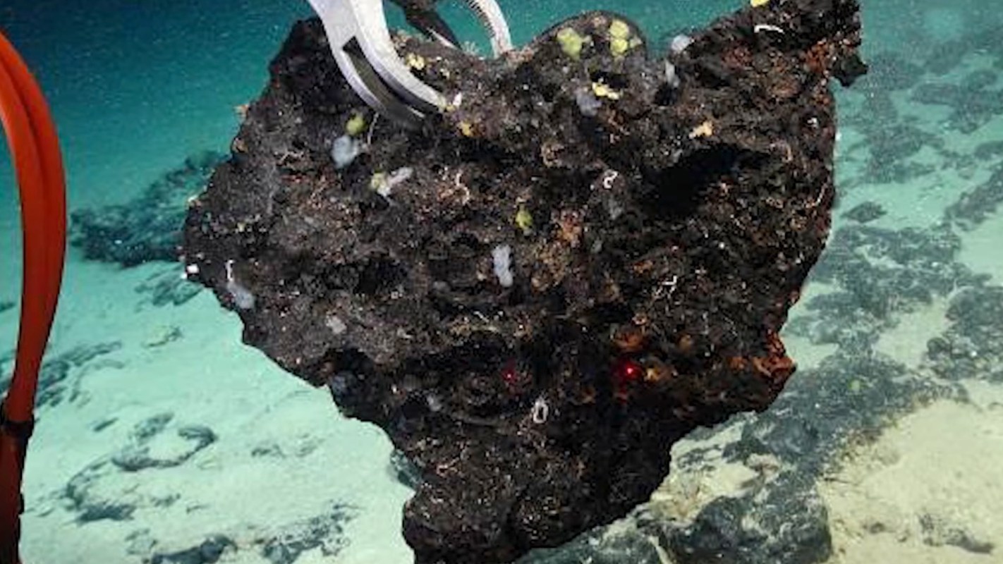 A robotic arm retrieves a large piece of rock from the ocean floor.