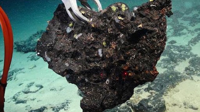 A robotic arm retrieves a large piece of rock from the ocean floor.