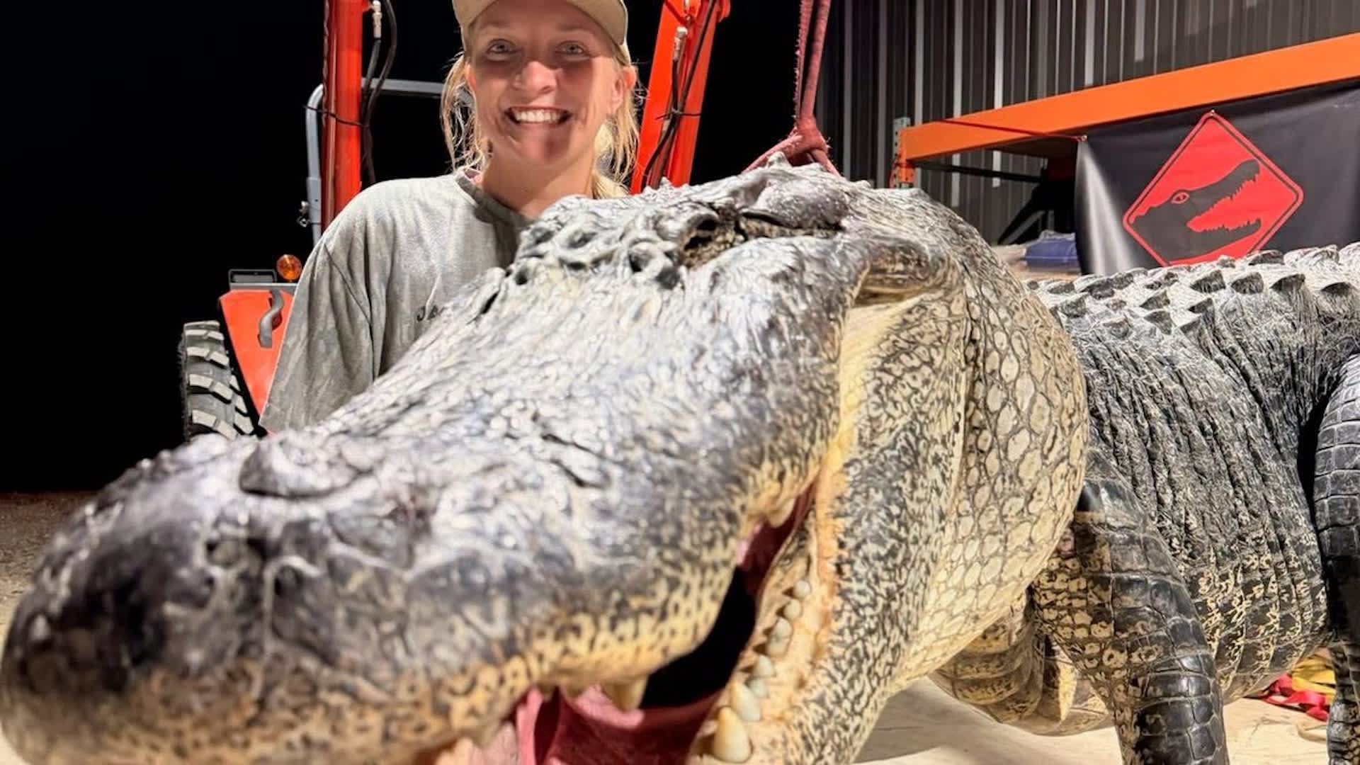 Mississippi hunter drew a coveted gator tag, then landed a 770-pound alligator