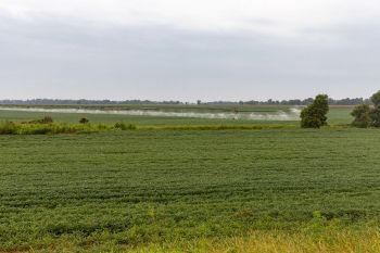 Farmland near the Mississippi Delta.