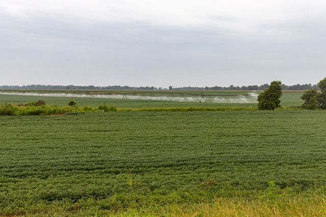 Farmland near the Mississippi Delta.