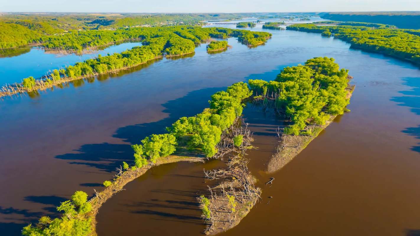 Aerial view of a river with green islands and scattered tree stumps.