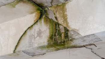 A wall with visible water damage, mold, and cracks.