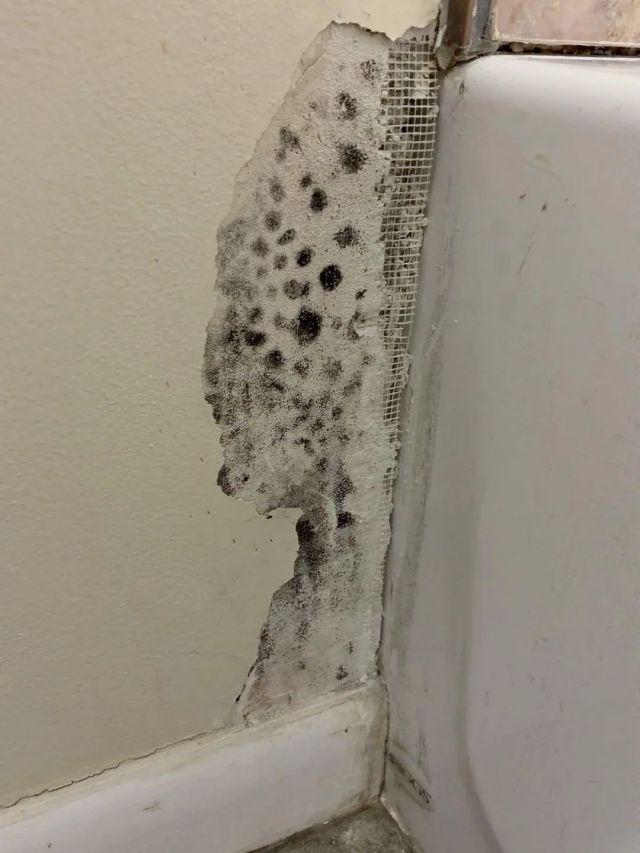 Black mold on a wall.