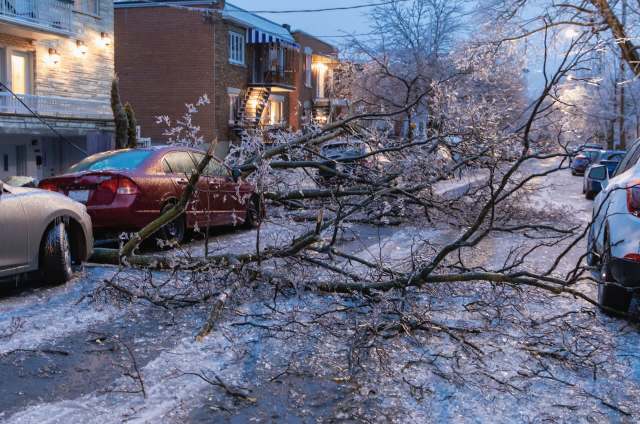 A street covered in ice with fallen tree branches and parked cars.