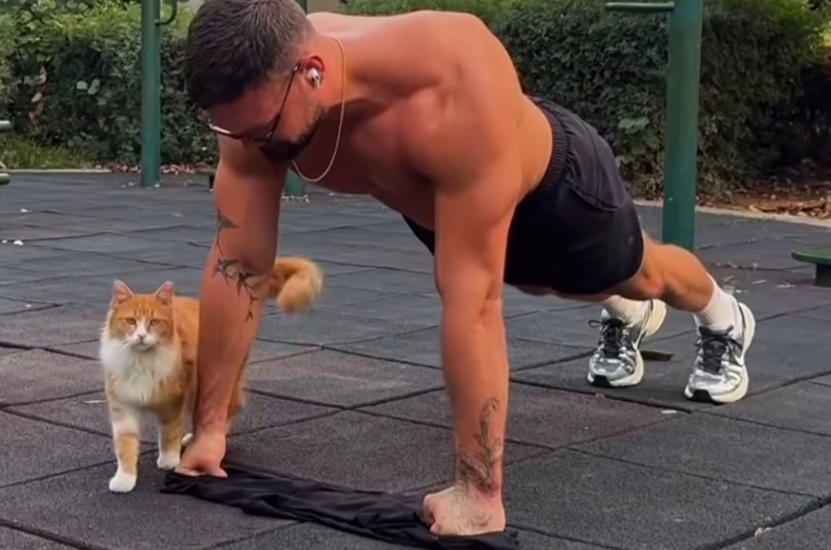 A person performs push-ups on a gym mat while a cat stands nearby.
