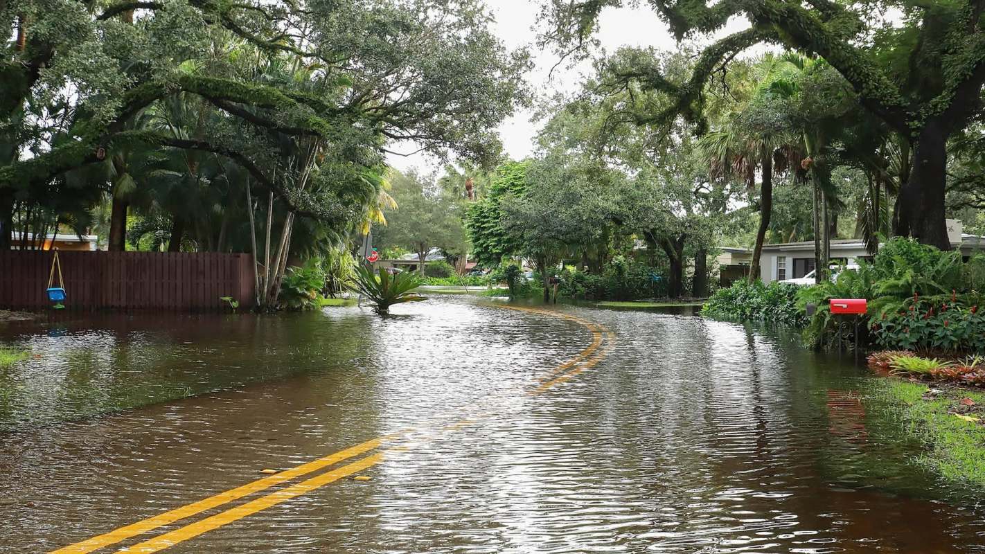 A flooded road lined with trees and greenery, with a visible stop sign and mailbox nearby.
