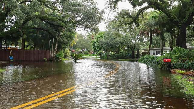 A flooded road lined with trees and greenery, with a visible stop sign and mailbox nearby.