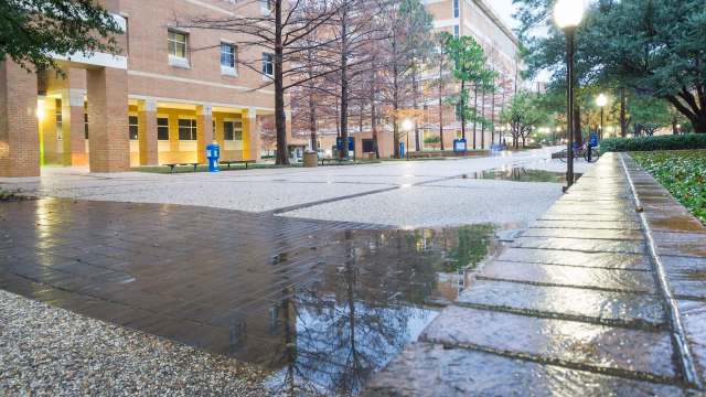 A campus courtyard with wet pavement, benches, and trees, reflecting surrounding buildings.