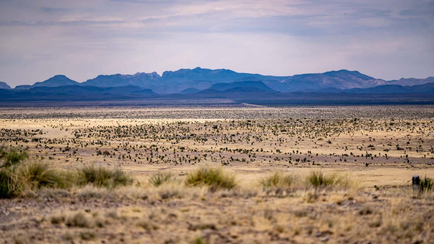 A vast desert landscape with scattered vegetation and distant mountains under a cloudy sky.