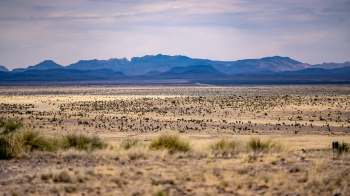 A vast desert landscape with scattered vegetation and distant mountains under a cloudy sky.
