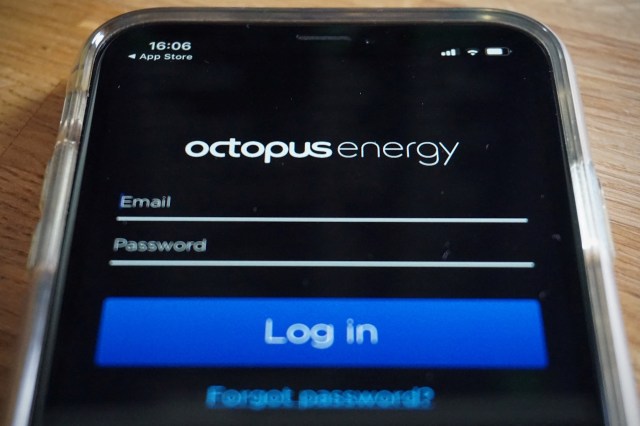 A smartphone screen displaying the Octopus Energy login page with email and password input fields.