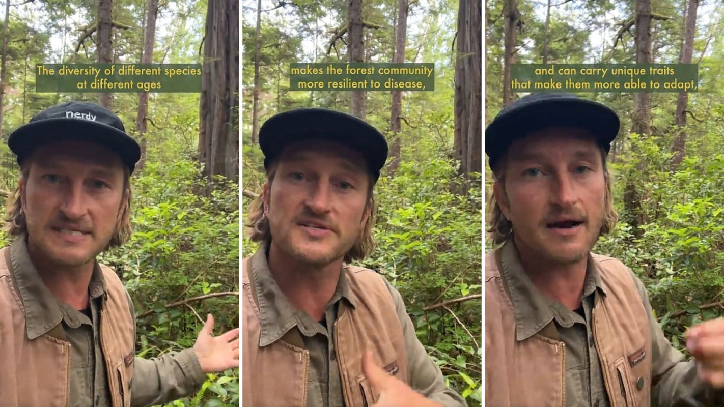 A man in an old growth forest talks about its benefits
