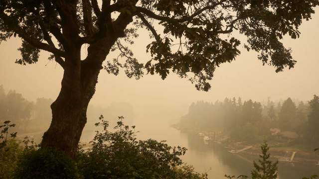 A tree silhouettes against a hazy river under wildfire smoke with distant shorelines and boats.