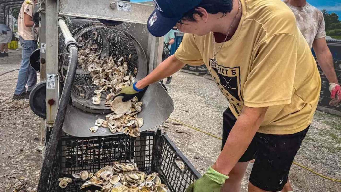 A person operates a machine to process oysters, while another individual works in the background.