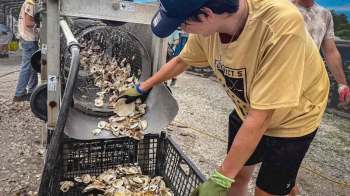 A person operates a machine to process oysters, while another individual works in the background.