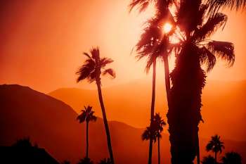 Silhouette of palm trees against an orange sunset sky with mountains in the background.