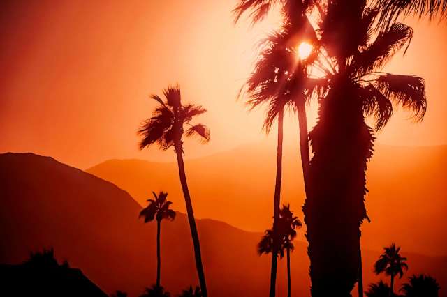 Silhouette of palm trees against an orange sunset sky with mountains in the background.