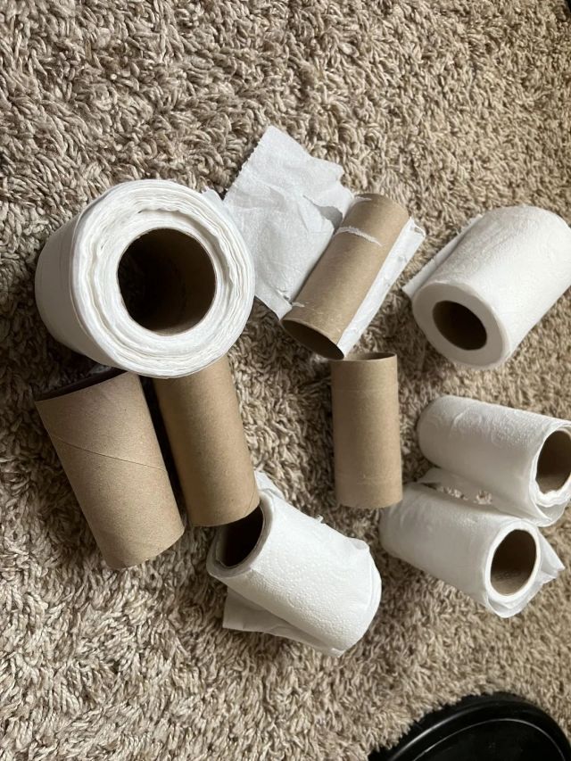 Partial and empty toilet paper rolls.
