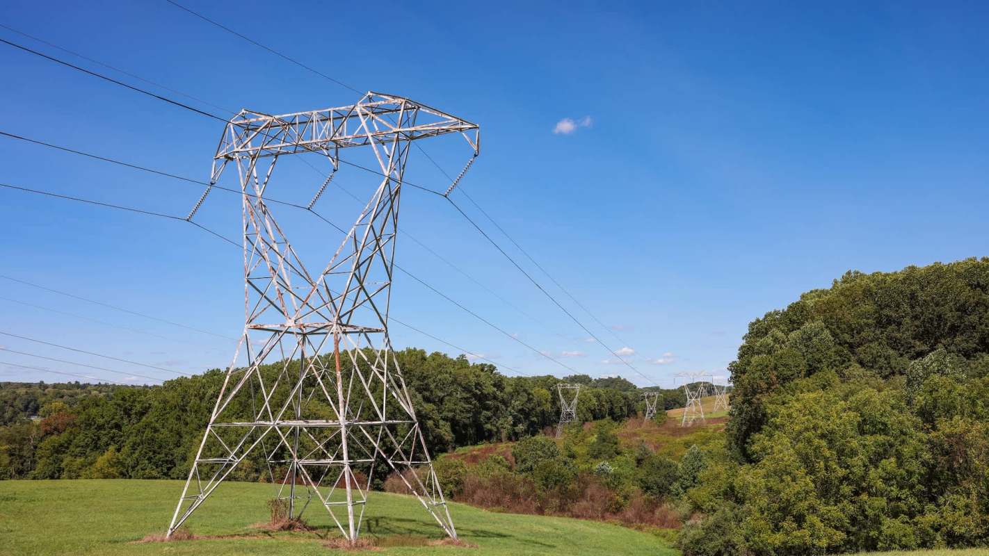 A power line tower stands in a field with trees and a clear blue sky in the background.