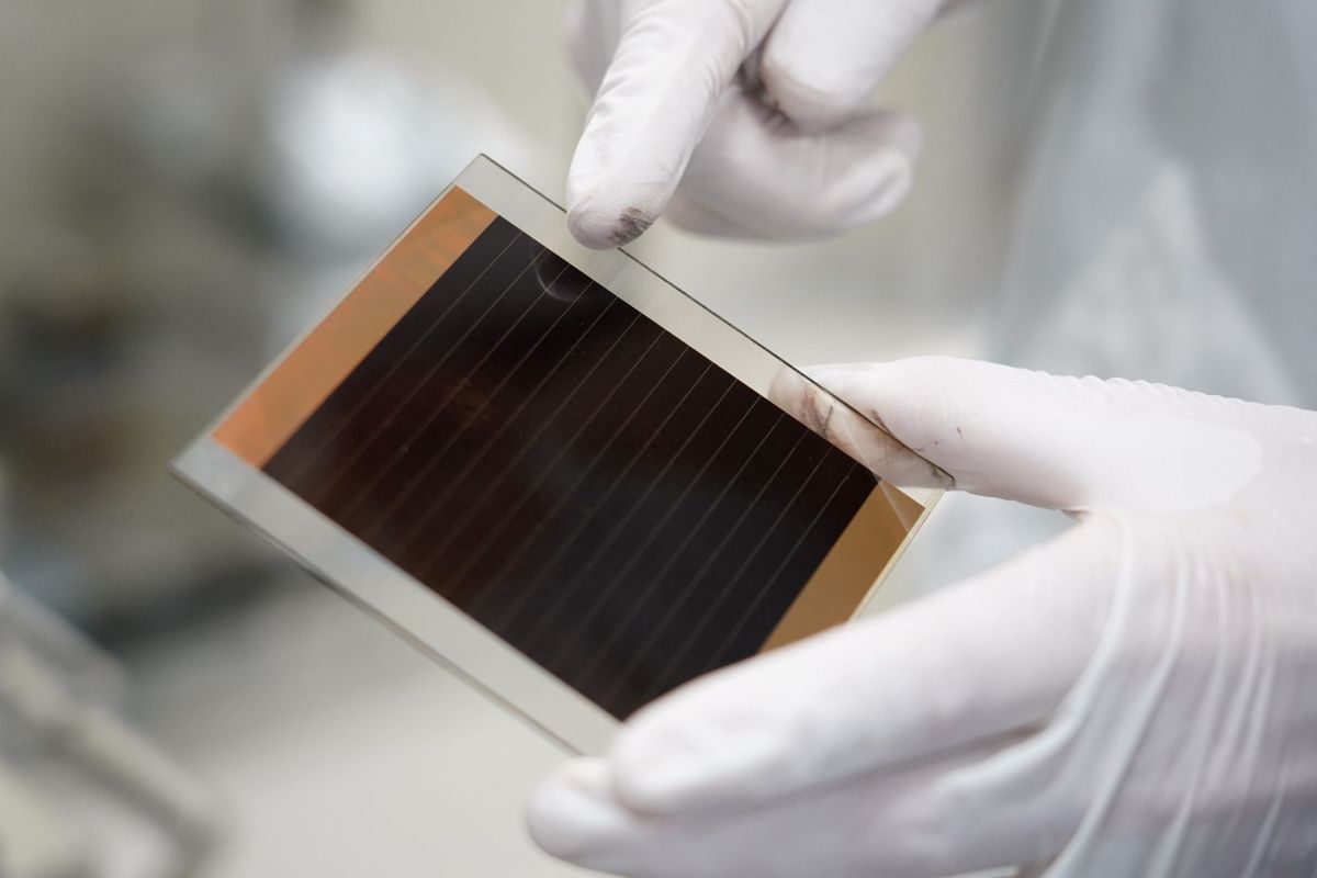 A person holding a perovskite solar cell.