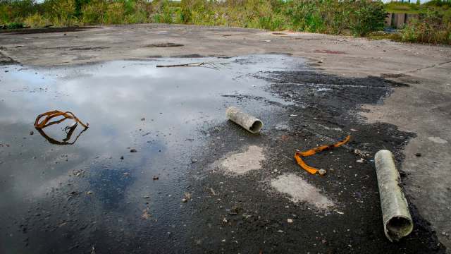 A puddle reflects the sky on a cracked surface scattered with debris and plants.