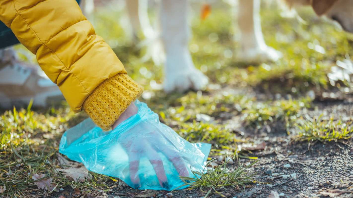 A person wearing a yellow jacket picks up litter using a blue plastic bag near a dog on the grass.