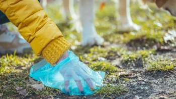 A person wearing a yellow jacket picks up litter using a blue plastic bag near a dog on the grass.