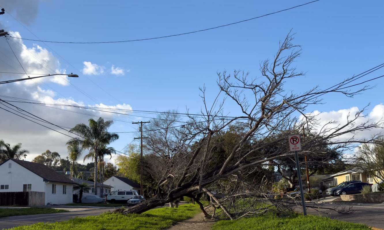 A fallen tree obstructs a pathway in a residential area.