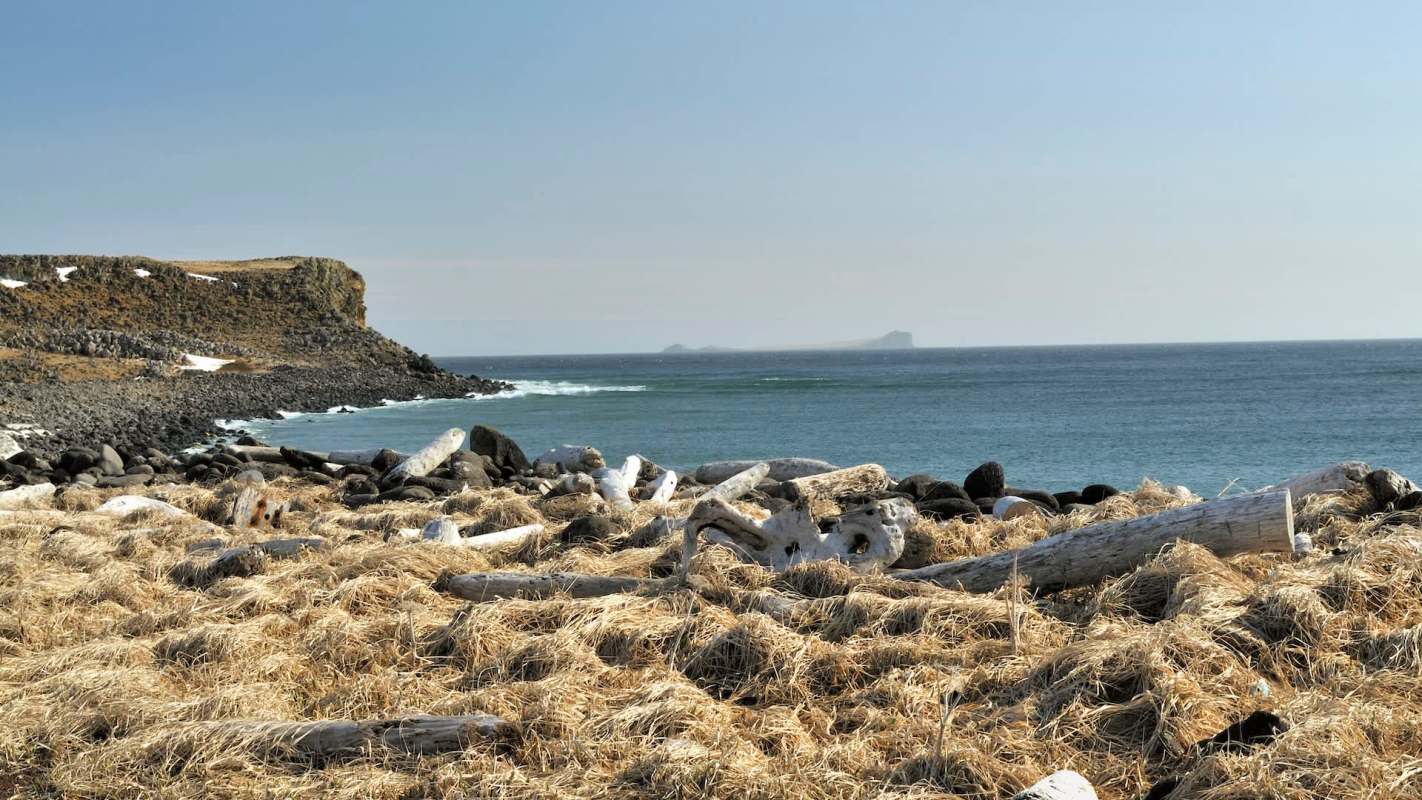 A rocky shoreline with driftwood and grasses, leading to the ocean and distant islands under a clear sky.
