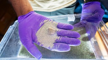 A hand with a purple glove holds soil with a small rock over a transparent container.