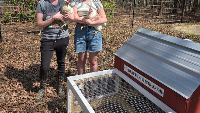 Two women hold chickens in a yard with a chicken coop and leaf litter on the ground.