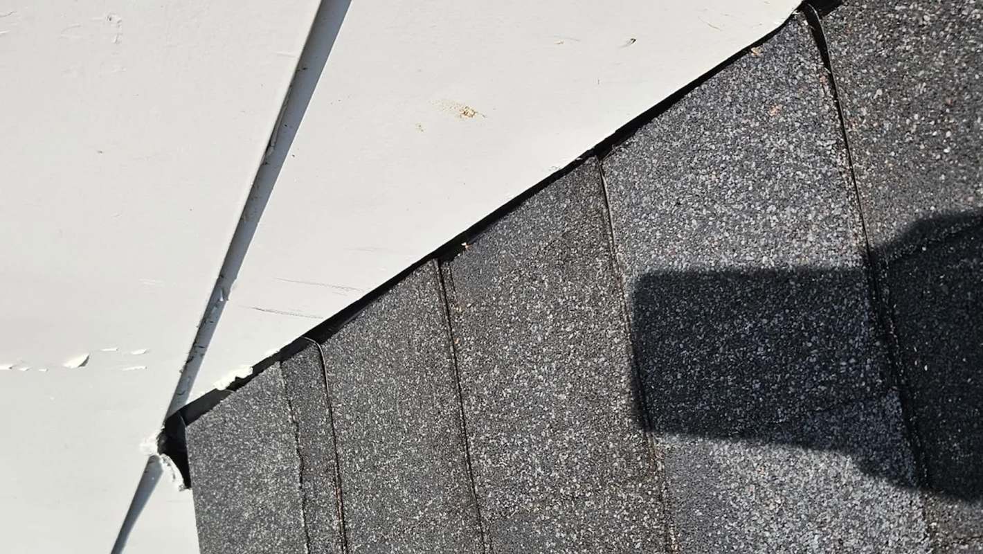 A section of a roof showing black shingles and a nearby white surface.