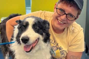 A woman sits with a dog in a brightly colored indoor space.
