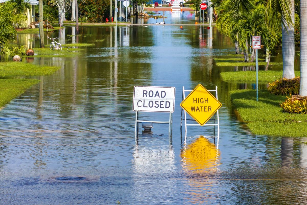 A flooded street with "Road Closed" and "High Water" signs visible.