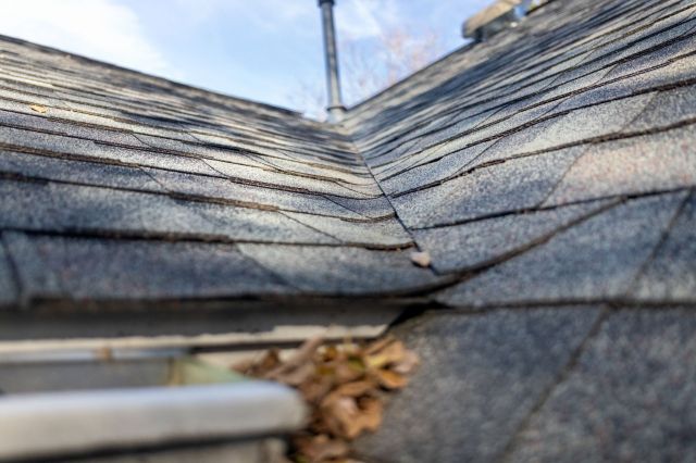 A roof with asphalt shingles and scattered leaves.