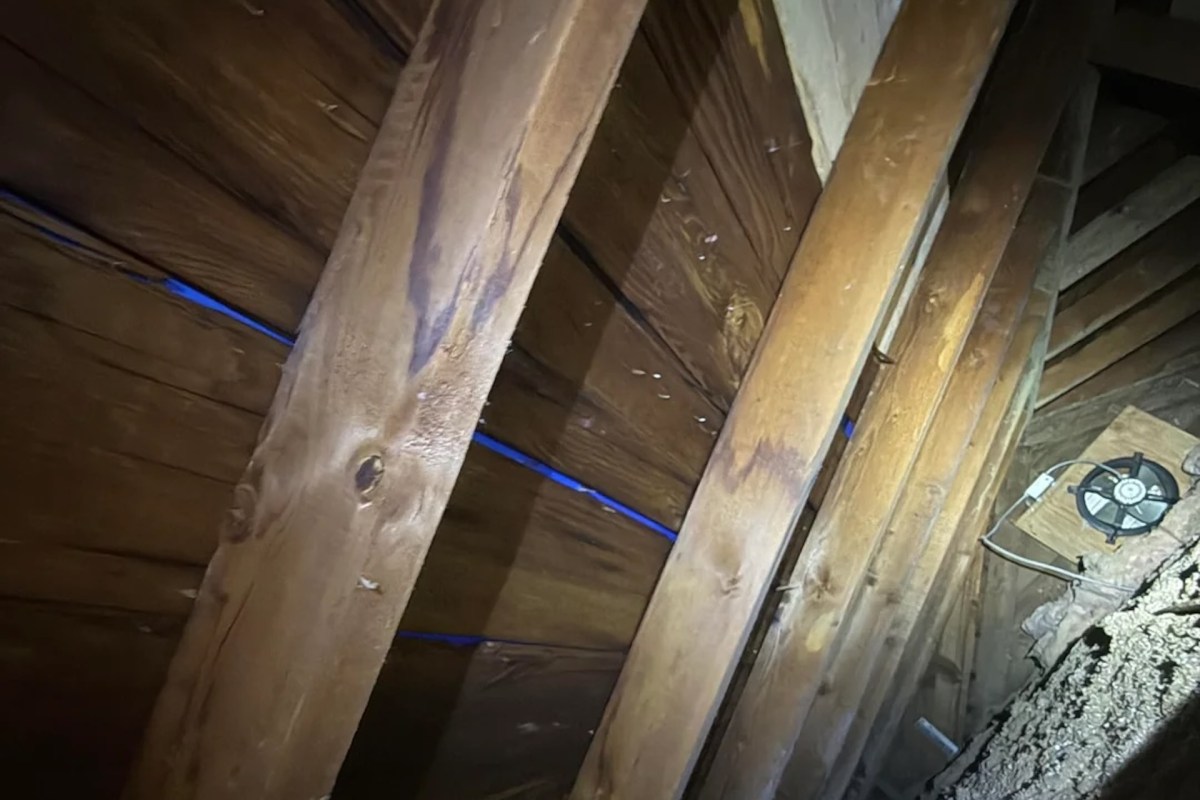 Wooden beams and planks in an attic with a blue light and an electric fan visible.
