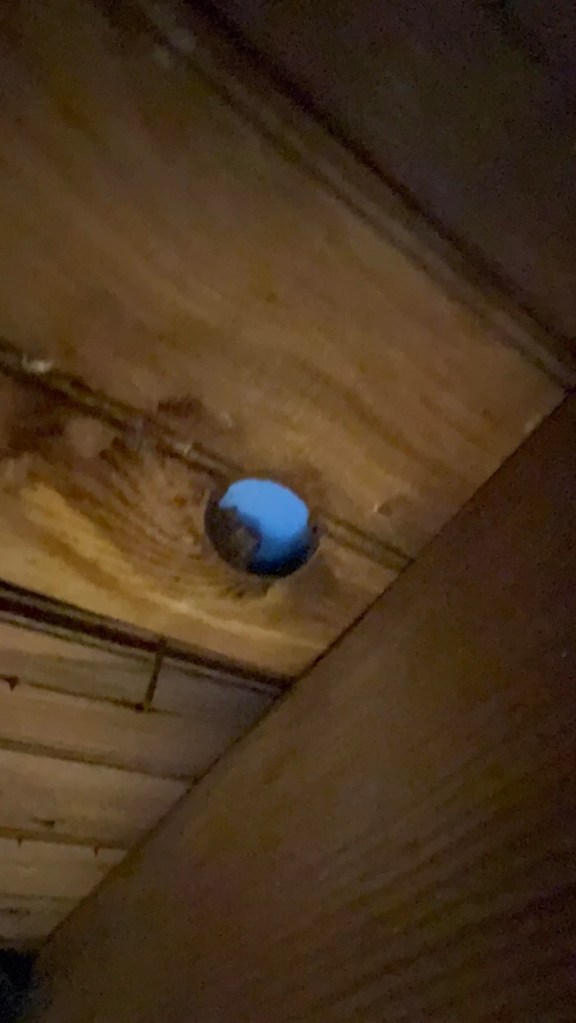 A zoomed-in photo of a roof.