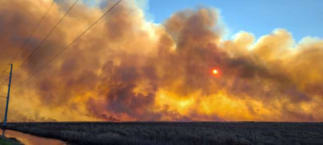 A sunset obscured by dense smoke and clouds, with power lines in the foreground.