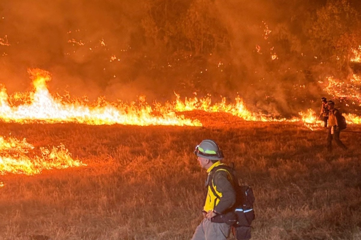 Firefighters near the Ross Fire.
