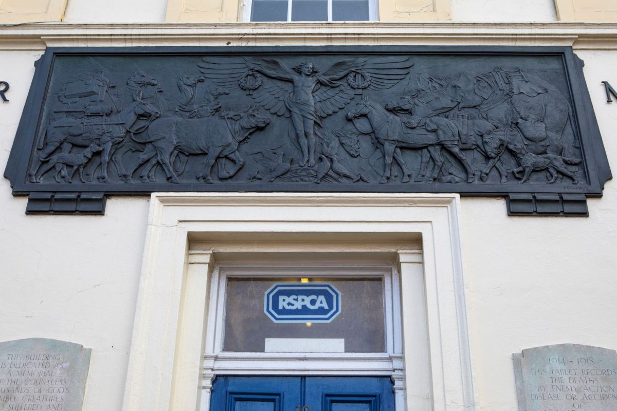 A relief sculpture depicting animals and a winged figure above an RSPCA entrance.