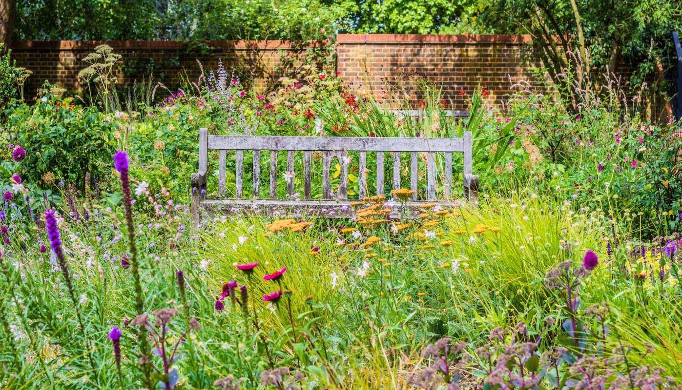 A weathered wooden bench surrounded by a variety of colorful flowers and greenery in a garden.