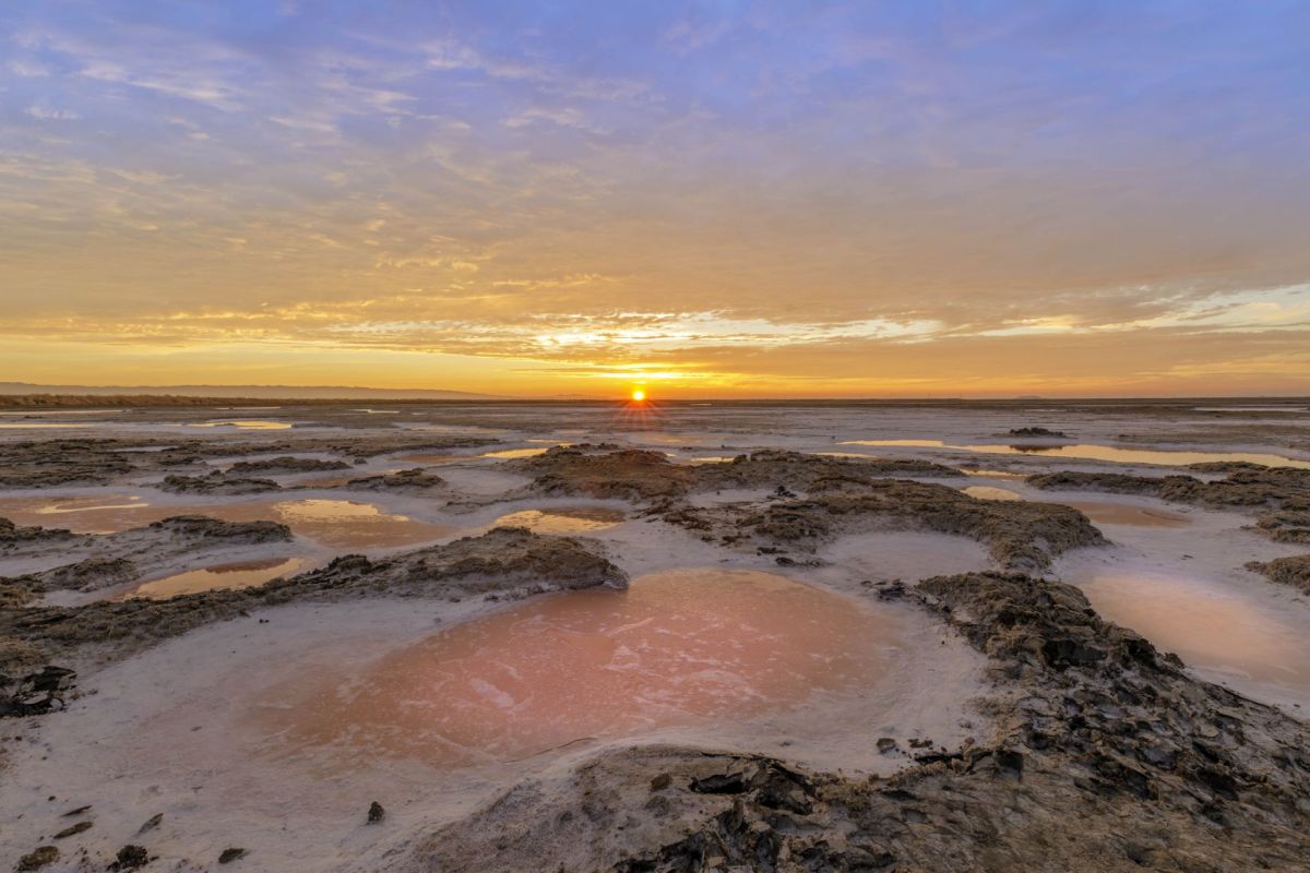 A salt marsh in California.