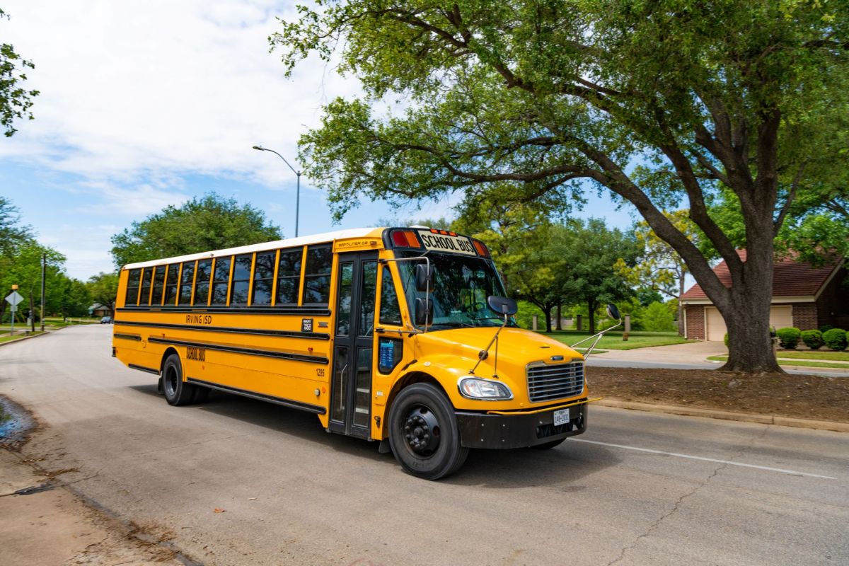 A school bus drives down a street in a residential neighborhood by a tall tree