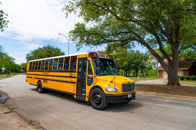 A school bus drives down a street in a residential neighborhood by a tall tree