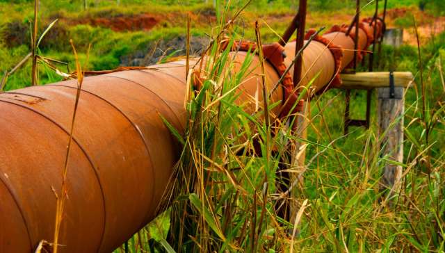 A large rusted pipeline surrounded by tall grass in a natural landscape.